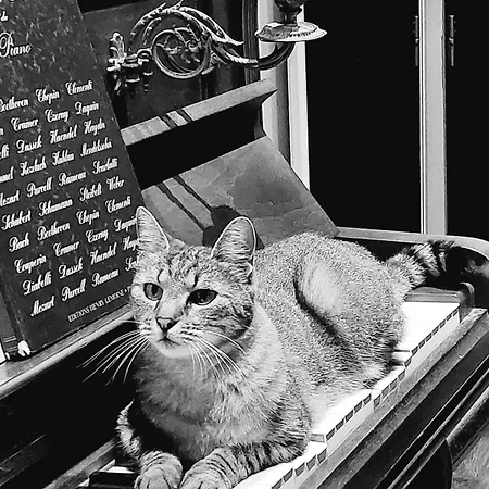 Chez Cendra Δωμάτια σε οικογενειακή κατοικία Borgo (Corsica)