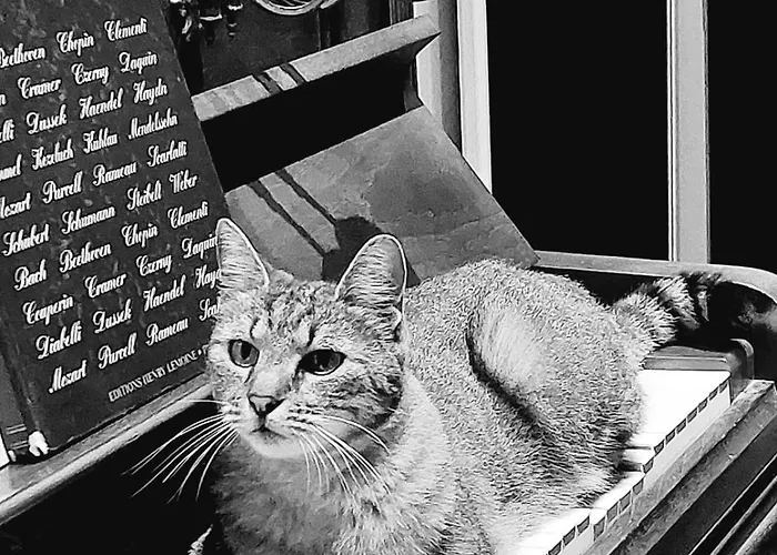 Chez Cendra Pansiyon Borgo (Corsica)